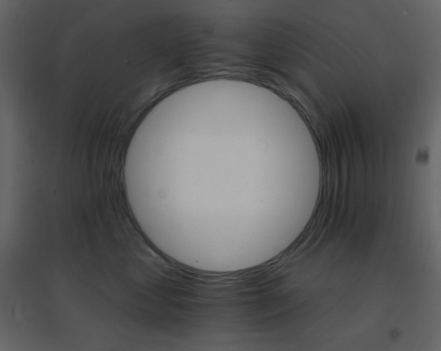 X0000096690621200802051348