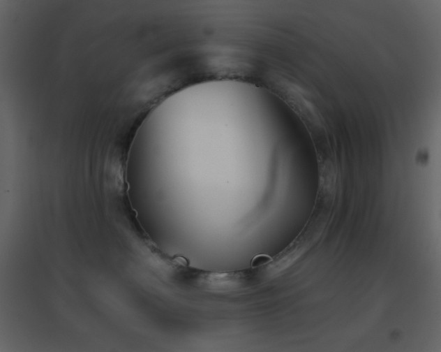 X0000096690622200802051348