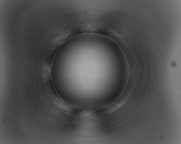 X0000096690624200802051348