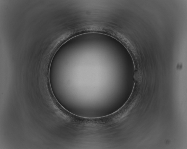 X0000096690625200802051347