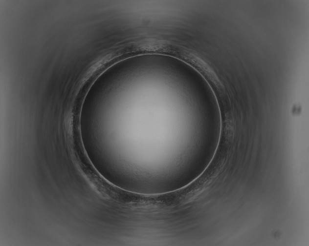 X0000096690626200802051347