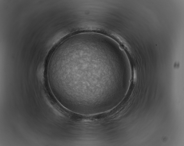 X0000096690627200802051347