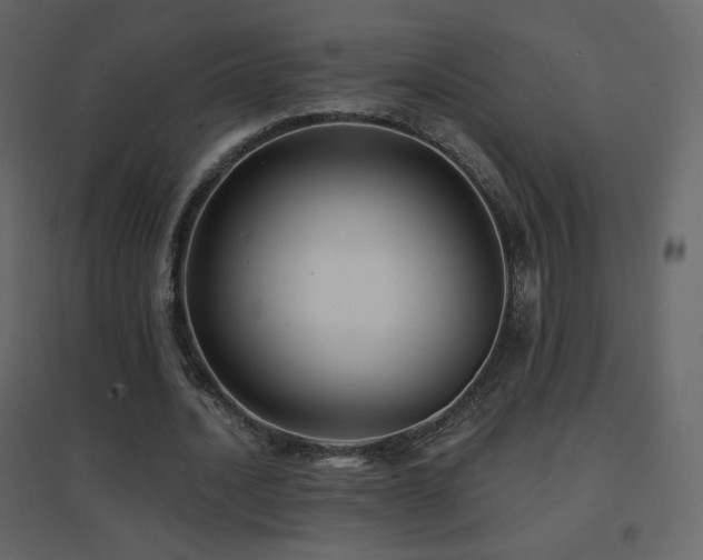 X0000096690628200802051347