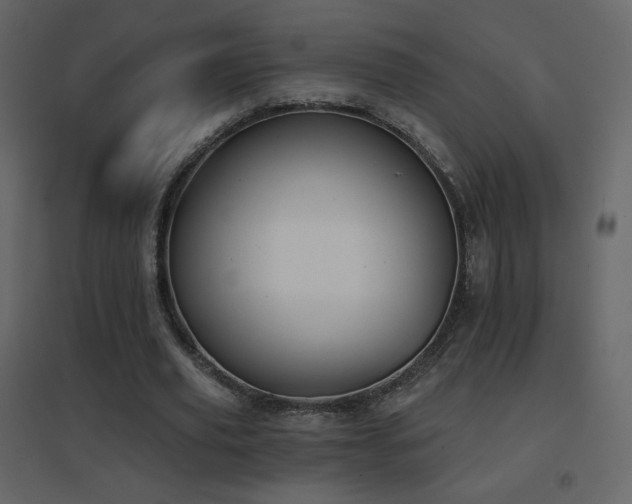 X0000096690629200802051347