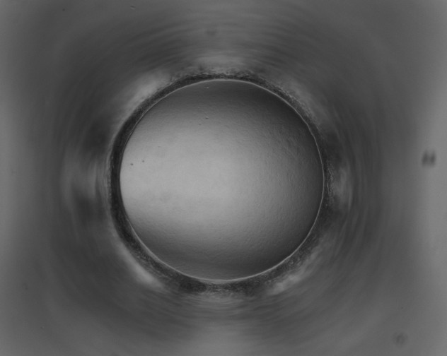 X0000096690630200802051347