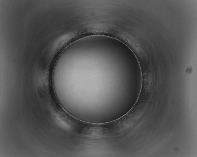 X0000096690631200802051347