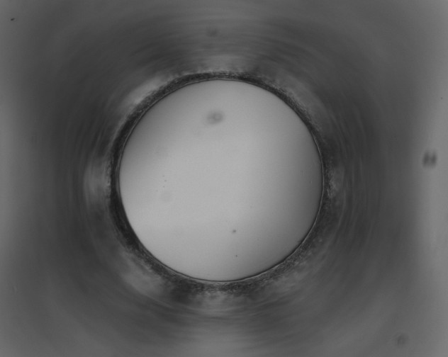 X0000096690632200802051347