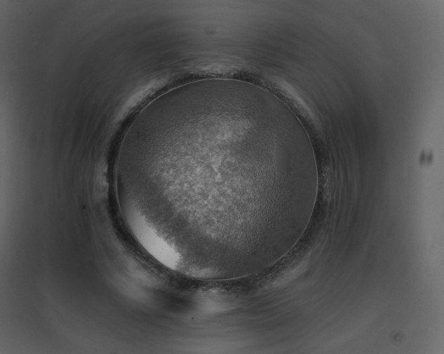 X0000096690634200802051347