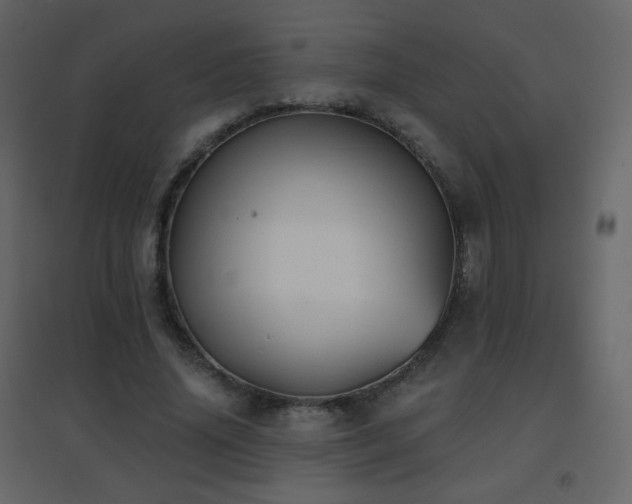 X0000096690636200802051347