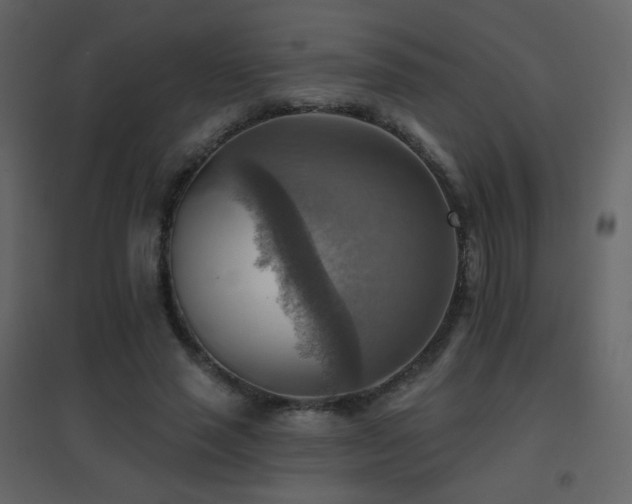 X0000096690637200802051347