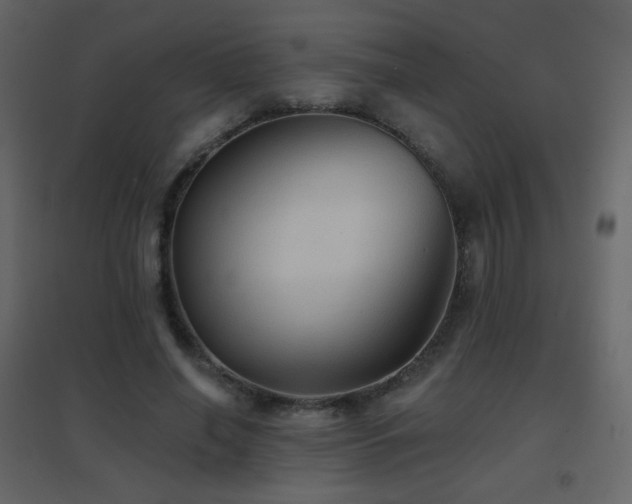 X0000096690638200802051347