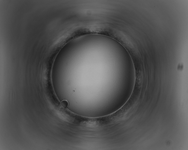 X0000096690639200802051347