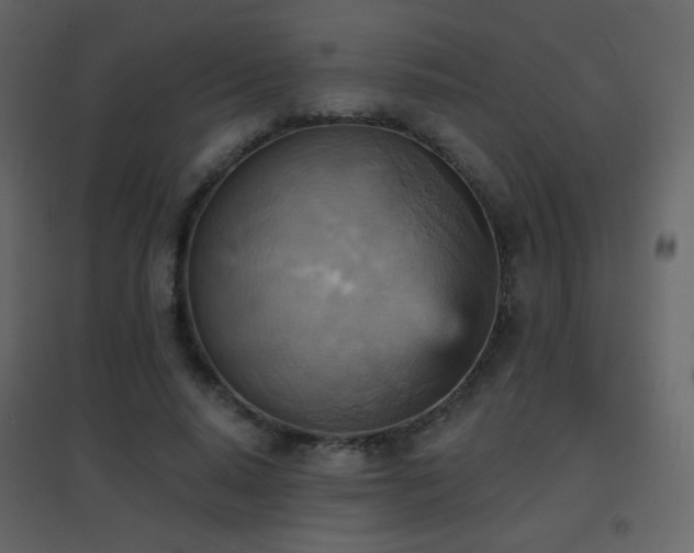 X0000096690640200802051347