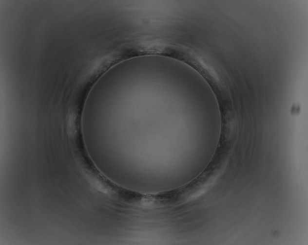 X0000096690641200802051347