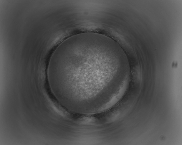 X0000096690642200802051347