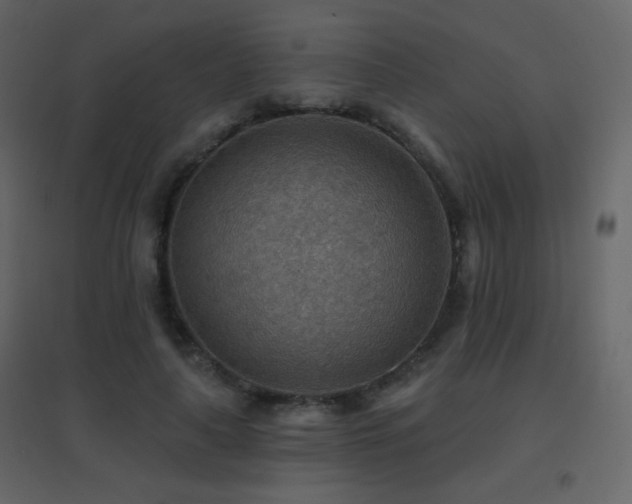 X0000096690643200802051347