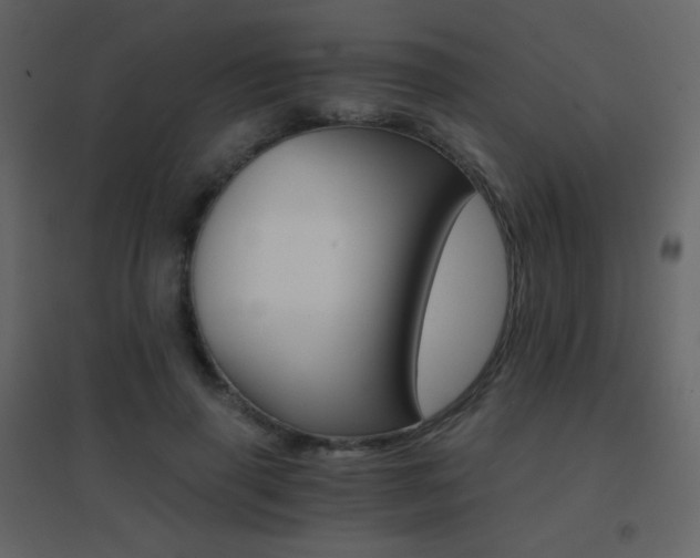 X0000096690645200802051347