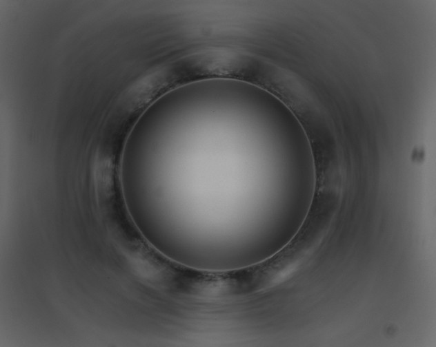 X0000096690646200802051347