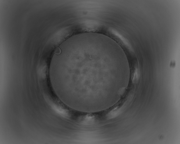 X0000096690647200802051347