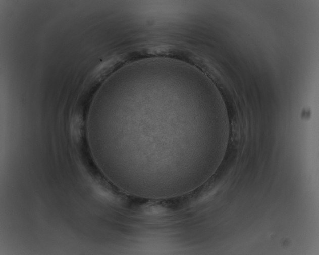 X0000096690648200802051347