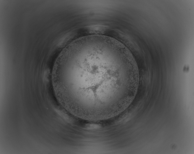 X0000096690649200802051347