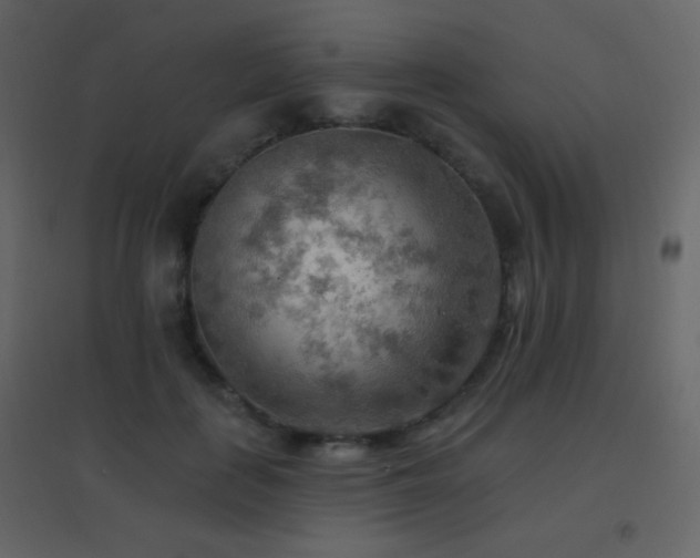 X0000096690651200802051347