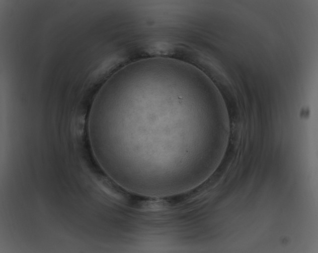 X0000096690652200802051347