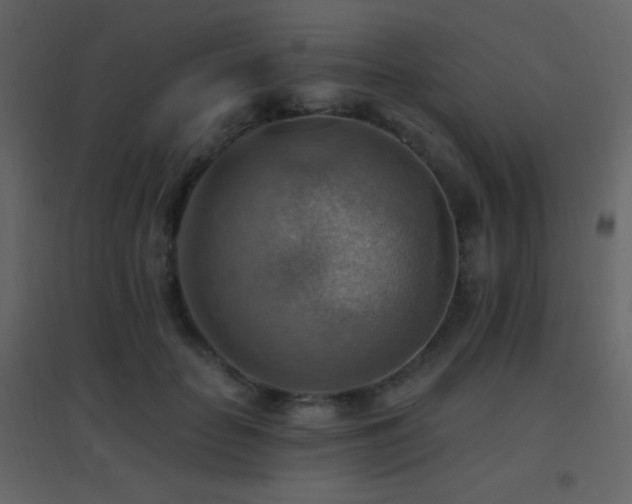 X0000096690653200802051347