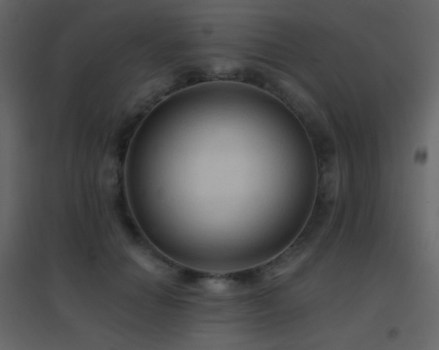 X0000096690654200802051347