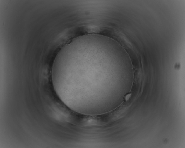 X0000096690655200802051347