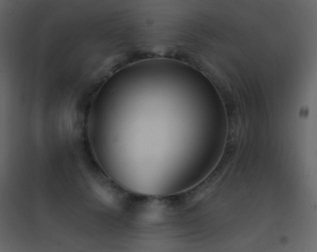 X0000096690656200802051347