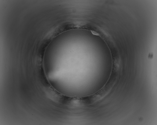 X0000096690657200802051348