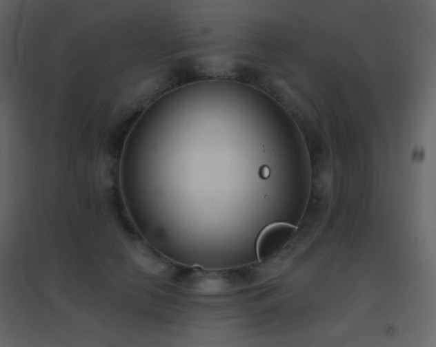 X0000096690658200802051348