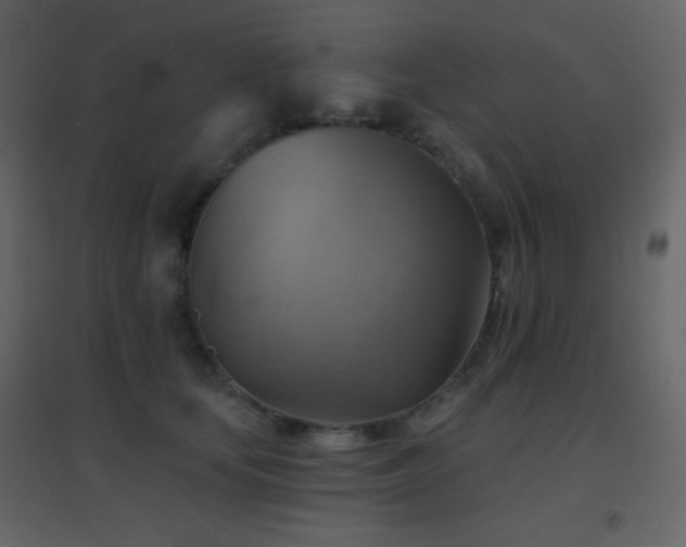 X0000096690659200802051348