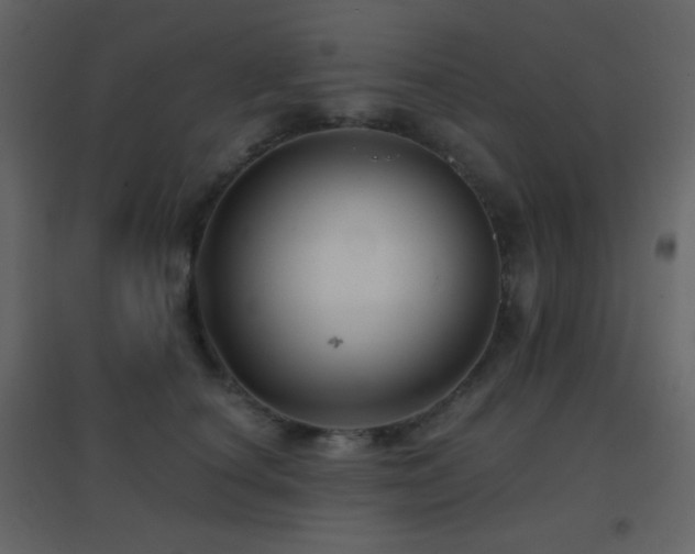 X0000096690660200802051348