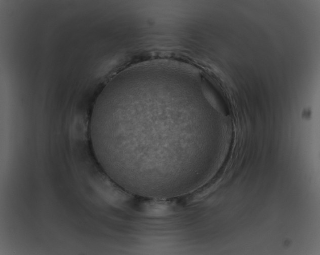 X0000096690661200802051348