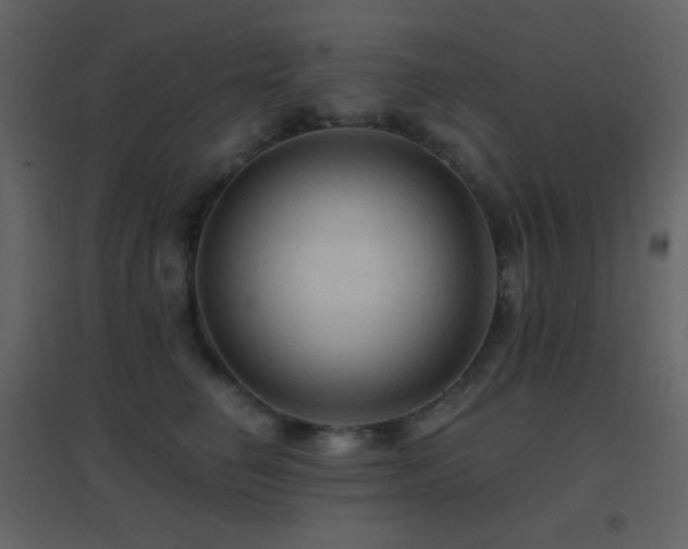 X0000096690662200802051348