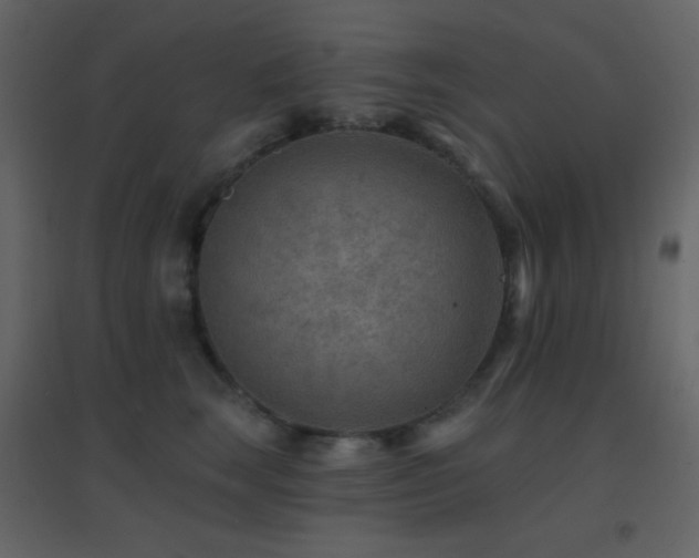 X0000096690663200802051348