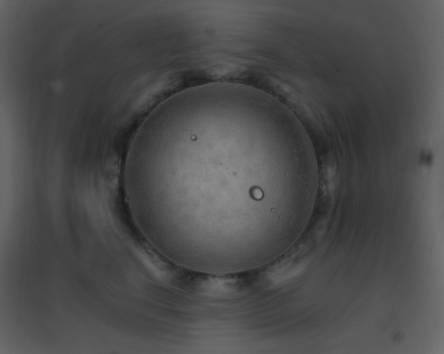 X0000096690664200802051348