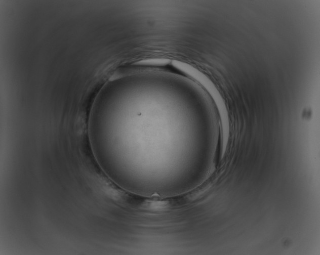 X0000096690665200802051348