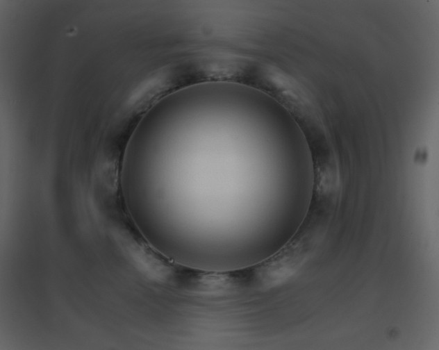 X0000096690666200802051348