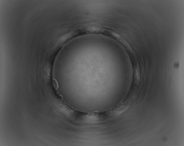 X0000096690668200802051348