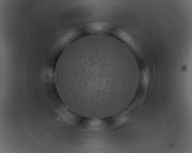 X0000096690669200802051348