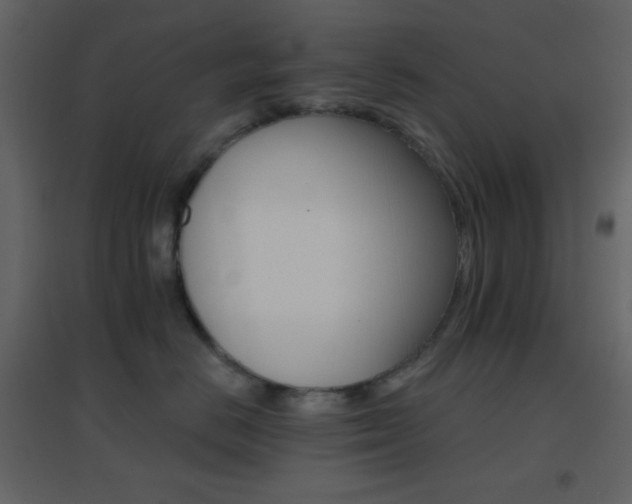 X0000096690670200802051348