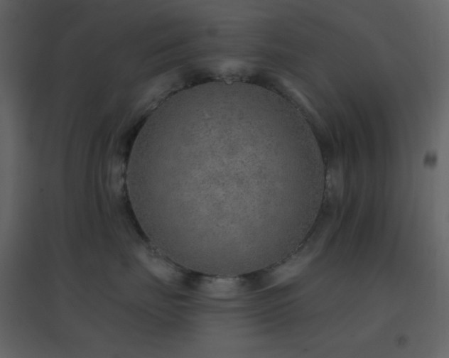 X0000096690671200802051348