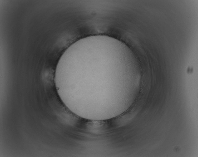 X0000096690672200802051348