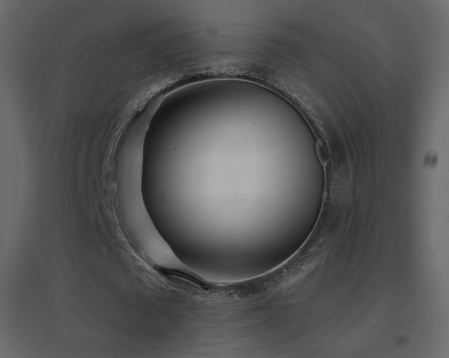 X0000096690673200802051347