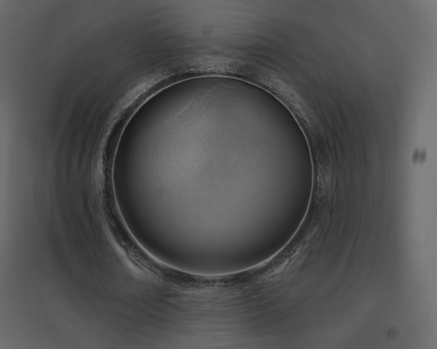 X0000096690674200802051347