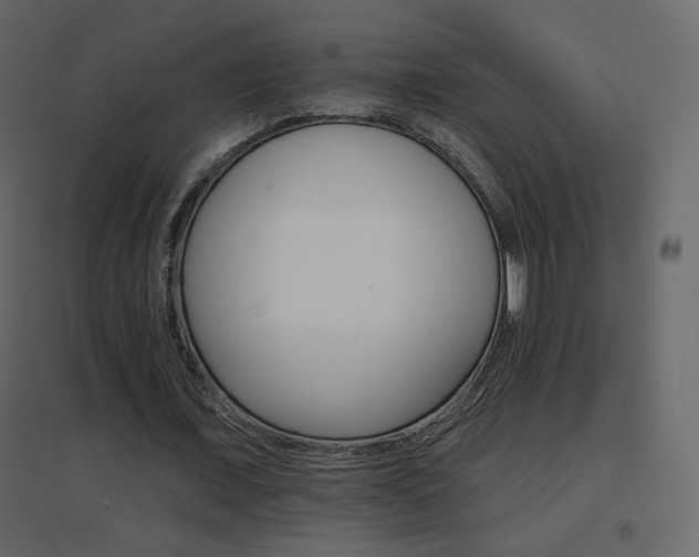 X0000096690675200802051347