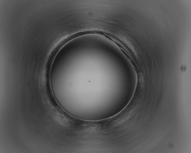 X0000096690676200802051347